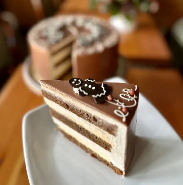 Slice of GIngerbread Mandarin cake